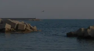 scogli