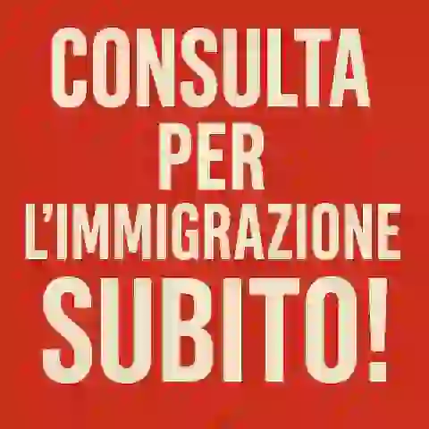 Consulta