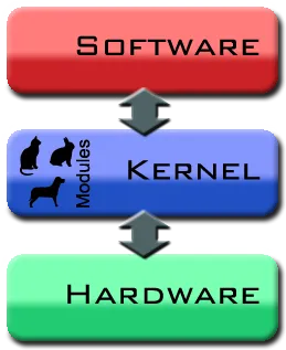 kernel