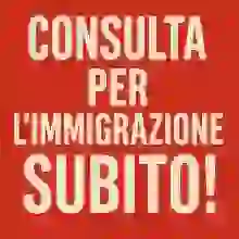 Consulta