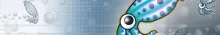 squid